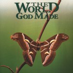 the world god made